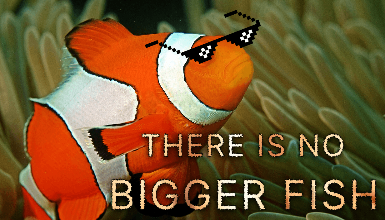 There is no bigger fish